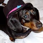 Profile Picture of Edward Legg (@legg.edward) on Instagram