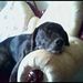 Profile Picture of Josette Tevyaw (@josettetevyaw) on Pinterest