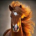 Profile Picture of Kevin Jarno (@kevin.jarno) on Instagram