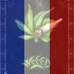 Profile Picture of Alex Perrier (@perrier.alex) on Instagram