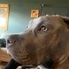 Profile Picture of cassandrabrewer19 (@@cassandrabrewer19) on Tiktok