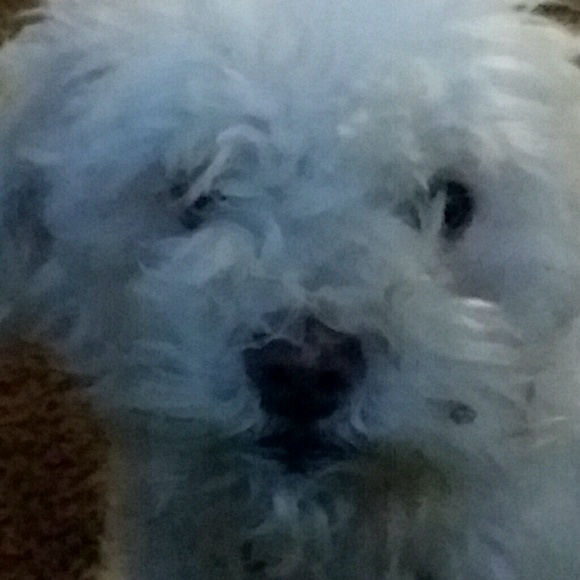 Profile Picture of Emmanuel Rojas (@mannyr101) on Poshmark