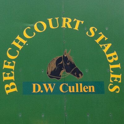 Profile Picture of Denis Cullen (@dwcullen1) on Twitter