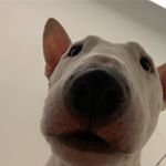 Profile Picture of 김보혜👨🏻‍🔬 (@anevergreenforest) on Instagram