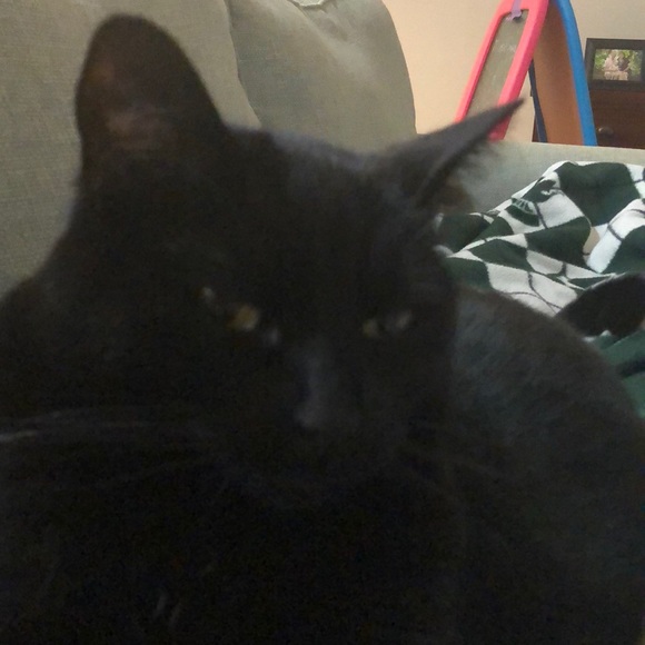 Megan Downer - Poshmark Profile Picture of Megan Downer (@megananne1213) on Poshmark