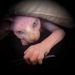 Profile Picture of Gordon Houghton (@gordonhoughton) on Instagram