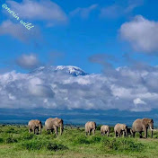 Profile Picture of Merin Joseph (@merinjoseph4619) on Youtube