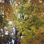 Profile Picture of juliatalleyep (@juliatalleyep) on Instagram