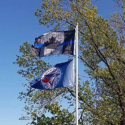 Profile Picture of Alexander Farquhar (@AlexanderFarqu1) on Twitter