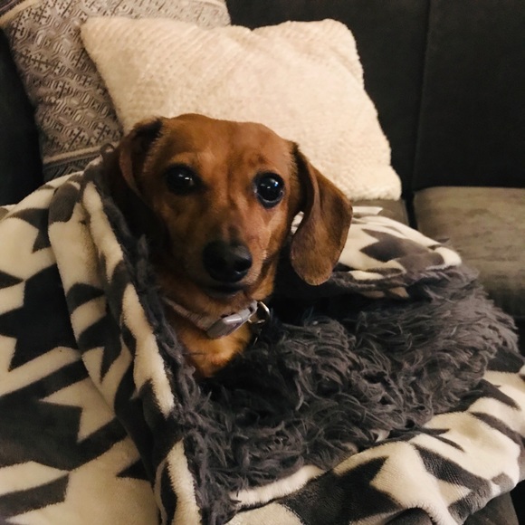 Profile Picture of Julie Dushane (@ljdushane) on Poshmark