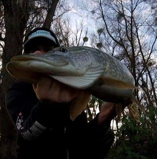 Profile Picture of Manu L'fisher (@Manu-Lfisher) on Facebook