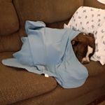 Profile Picture of Carleigh Roberts (@robertscarleigh) on Instagram