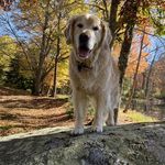 Profile Picture of Kyle Ashworth (@kashworth09) on Instagram