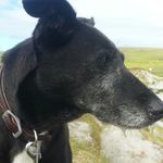 Profile Picture of James Ferris (@james_ferris_2001) on Instagram