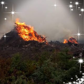 Profile Picture of Adrea Herrera (Stevens) (@adrea.herrera.37) on Facebook