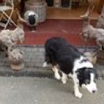 Profile Picture of David Stevenson (@stevenson5345) on Instagram