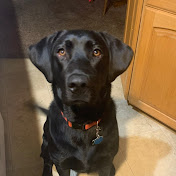 Profile Picture of Kylee Jordan (@kyleejordan845) on Youtube