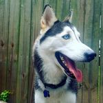 Profile Picture of Sky Lehman (@sky_lehman) on Instagram