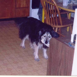 Profile Picture of Bear O'donnell (@100066595) on Myspace