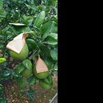 Profile Picture of lonnie_marshalld (@lonnie_marshalld) on Instagram