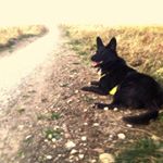 Profile Picture of Benjamin Stuart (@ben_boozle) on Instagram