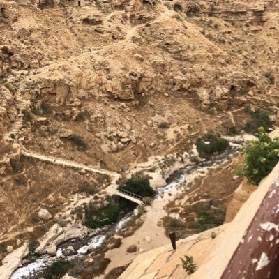 Profile Picture of Andrew Ayoub (@AndrewAyoub8) on Twitter