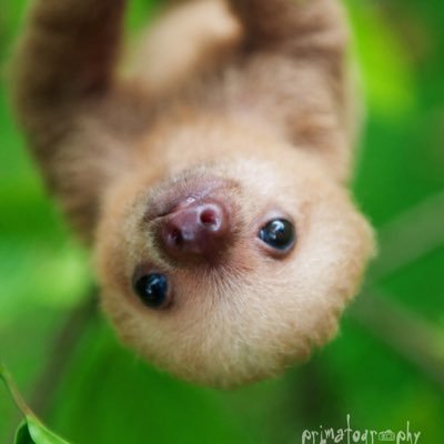 Profile Picture of Isaiah Ives (@IsaiahIves) on Twitter