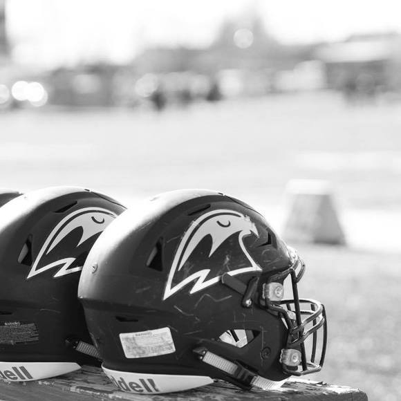 Profile Picture of Paula loughary Pattillo (@paulap67) on Poshmark