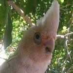 Profile Picture of Daniel Omdahl (@danielomdahl) on Instagram