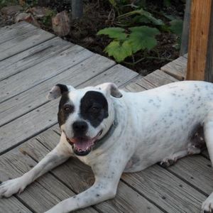 Profile Picture of Darren Harris (@darrenchristyandtktbuck09) on Myspace