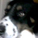 Profile Picture of joshua (@josgurrola123) on Instagram