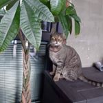 Profile Picture of Alex Kalman (@alex_kalman) on Instagram