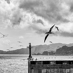 Profile Picture of yang david (@dvy33) on Flickr