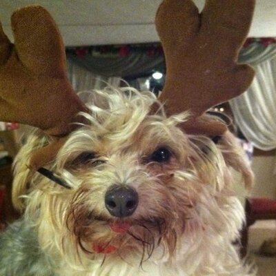 Profile Picture of Zachary Bunker (@Zacky_BLicious) on Twitter