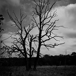 Profile Picture of Jo.black_white (@jo.black_white) on Flickr