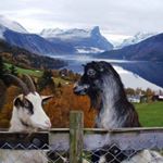 Profile Picture of Jon Birger Bugge (@jonbirgerbugge) on Instagram