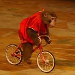 Profile Picture of Keith Krieg (@keith.krieg.3) on Facebook