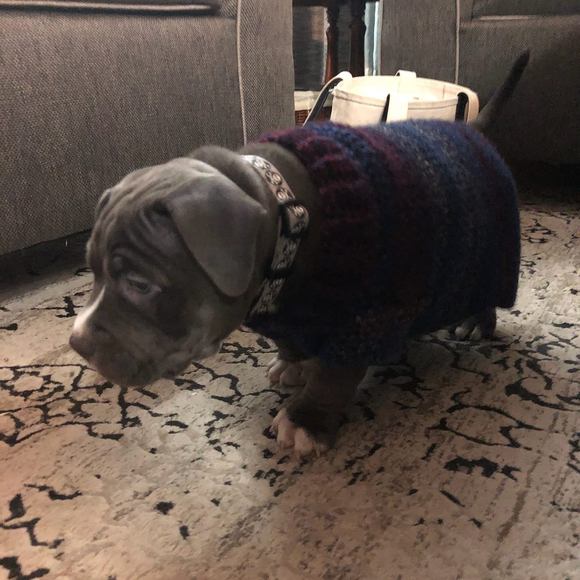 Profile Picture of Keith Medeiros (@krazykeith71) on Poshmark