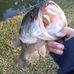 Profile Picture of Darrell Bumgardner (@Darrell-Bumgardner) on Facebook