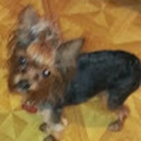 Profile Picture of Cathy Cloud (@cathy-cloud-5) on Quora