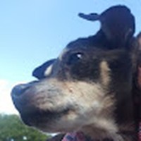 Profile Picture of Brian Hail (@brian-hail-4) on Quora