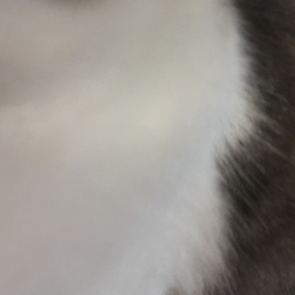 Profile Picture of Erin Schmidt (@likensposty) on Poshmark