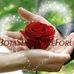 Profile Picture of Ali Haka (@ali.haka.37604) on Facebook