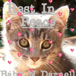 Profile Picture of Darnell Baby (@284646898) on Myspace