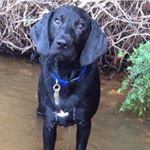 Profile Picture of Kendell Stephenson (@kendellstephenson) on Instagram