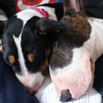 Profile Picture of faganandnancy (@faganandnancy) on Instagram