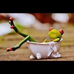 Profile Picture of Matt Henshall (@naturesattic212) on Instagram