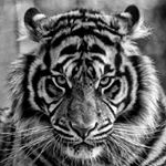 Profile Picture of Brandon willemse (@brandonwillemse46) on Instagram