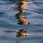 Profile Picture of Daniel Tiznado (@danielsarabia) on Instagram