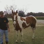 Profile Picture of Jamie Wade (@wade.jamie) on Instagram